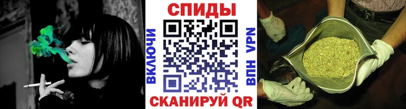 MEGA как войти  Красноармейск  БУТИРАТ буратино 