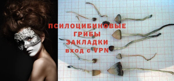 стафф Алексеевка